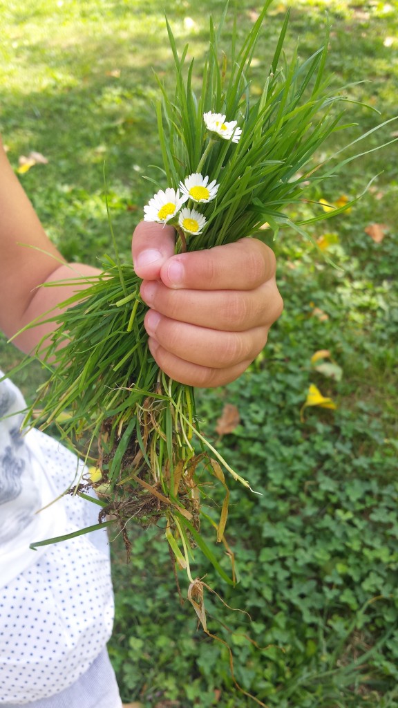 bouquet de fleurs