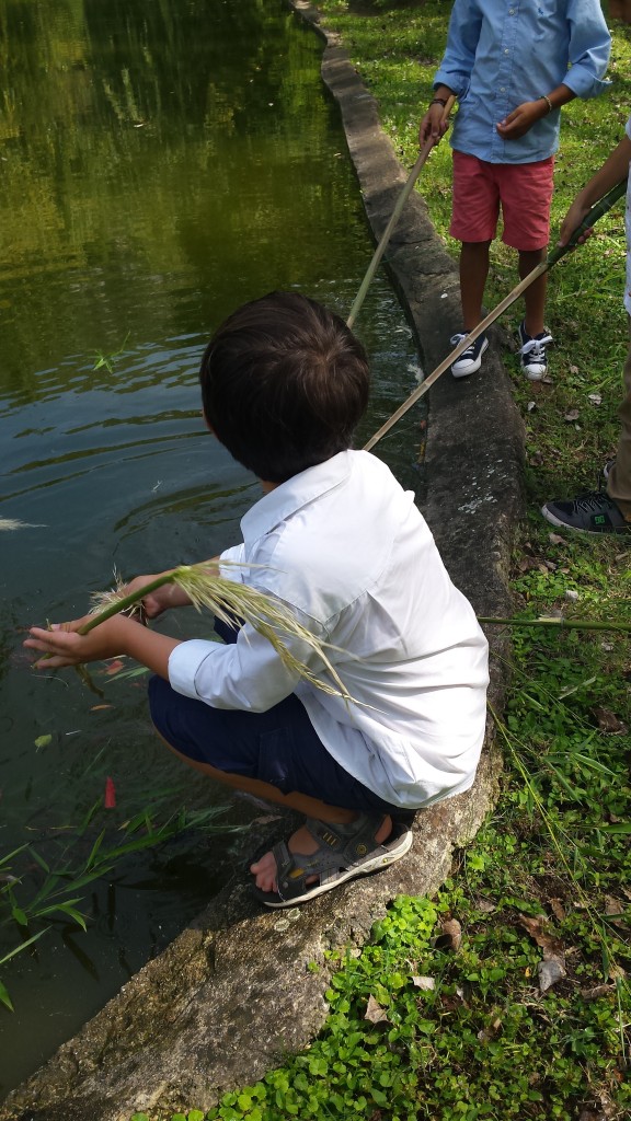 enfants au bord de l'eau