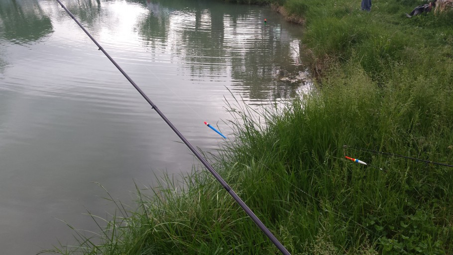 concours de pêche