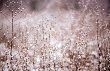 comment mettre de la neige sur son blog ?