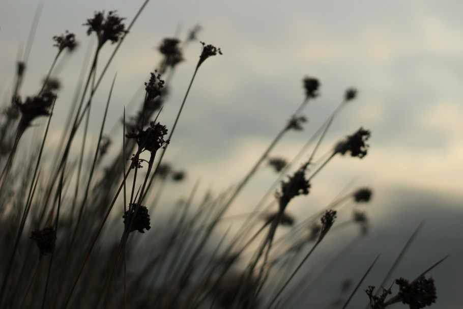 Instagram et les donneurs de leçons