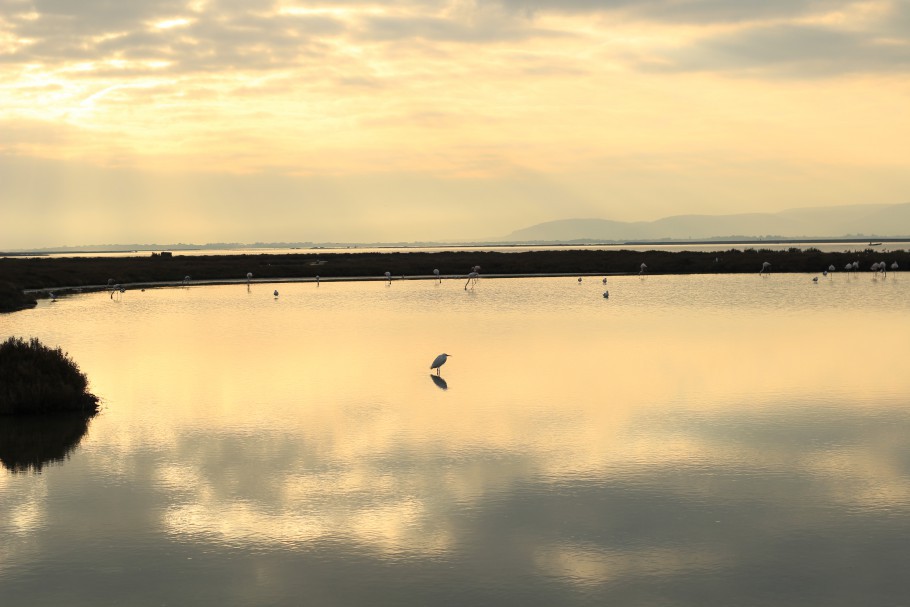 photo villeneuve les maguelonne