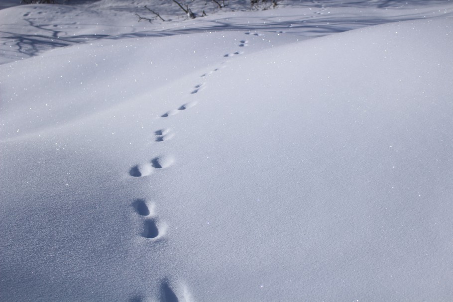 activités montagne hiver