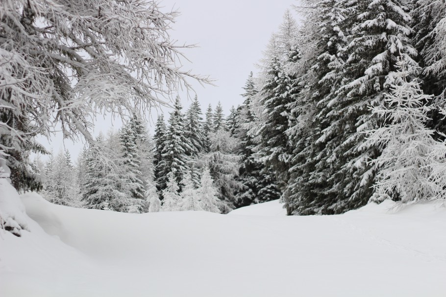 Les Angles sous la neige