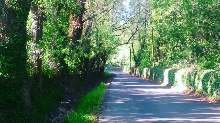 été 2016