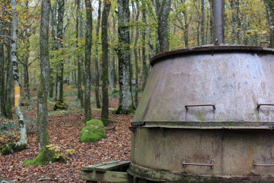 forêt de l'aiguille montagne noire