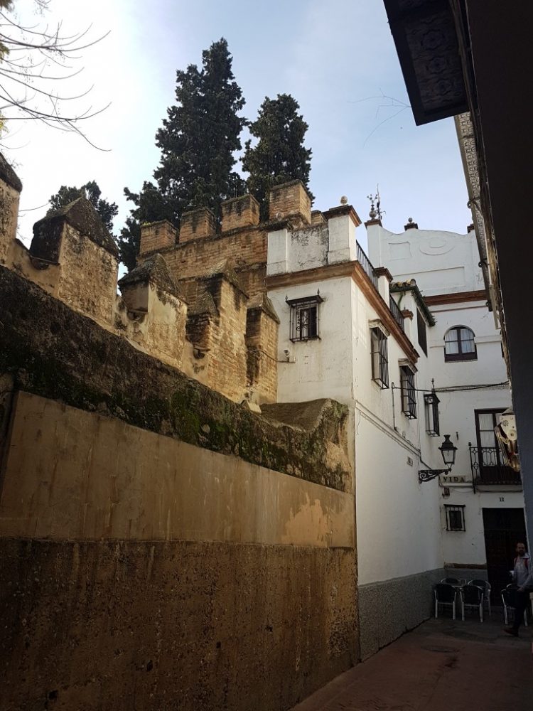 santa cruz seville