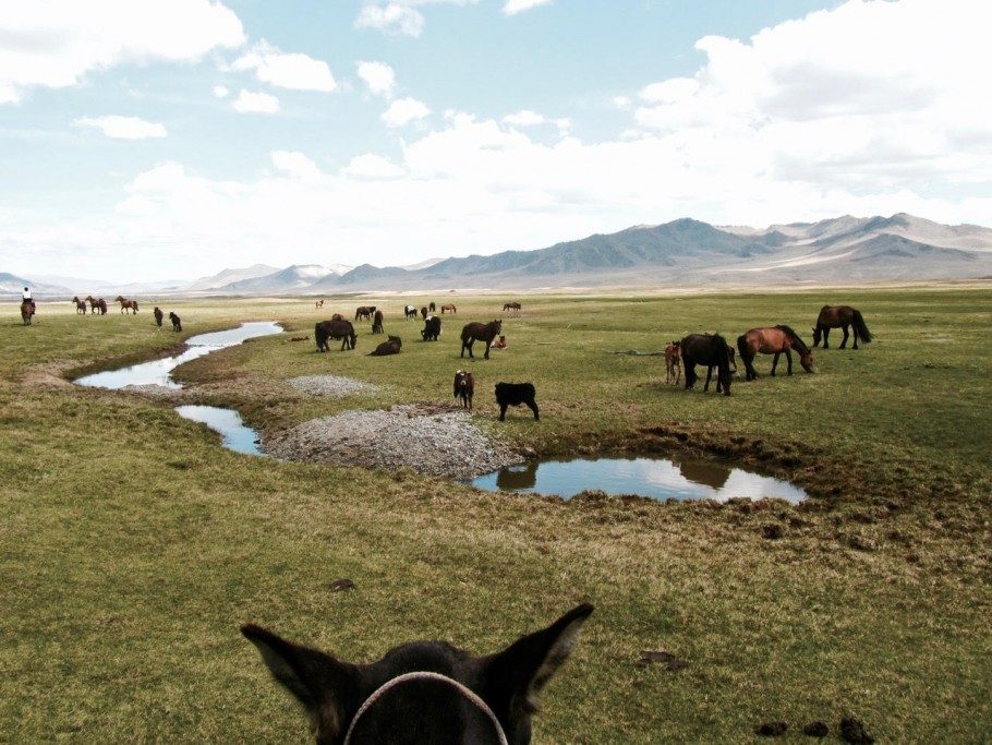 steppes mongoles