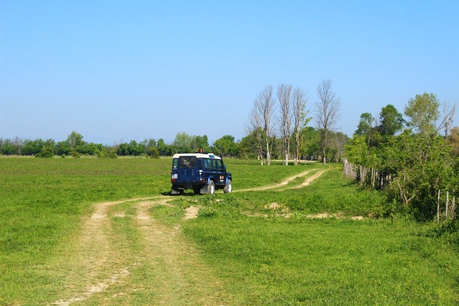 4x4 camargue