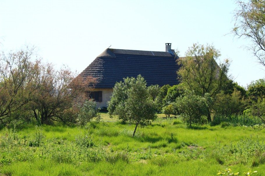 maison camarguaise