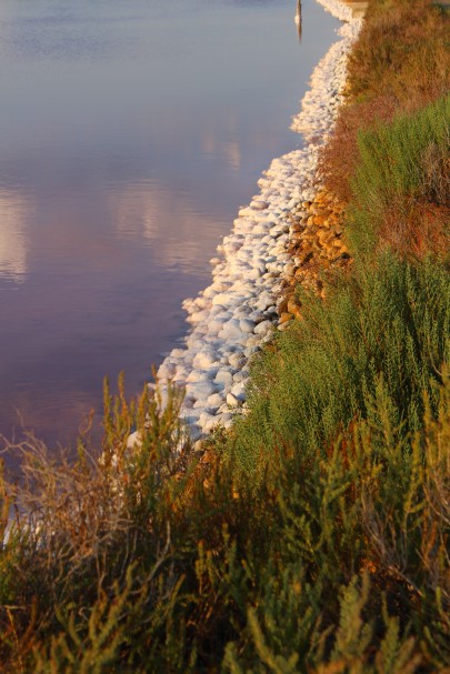 salins aigues mortes