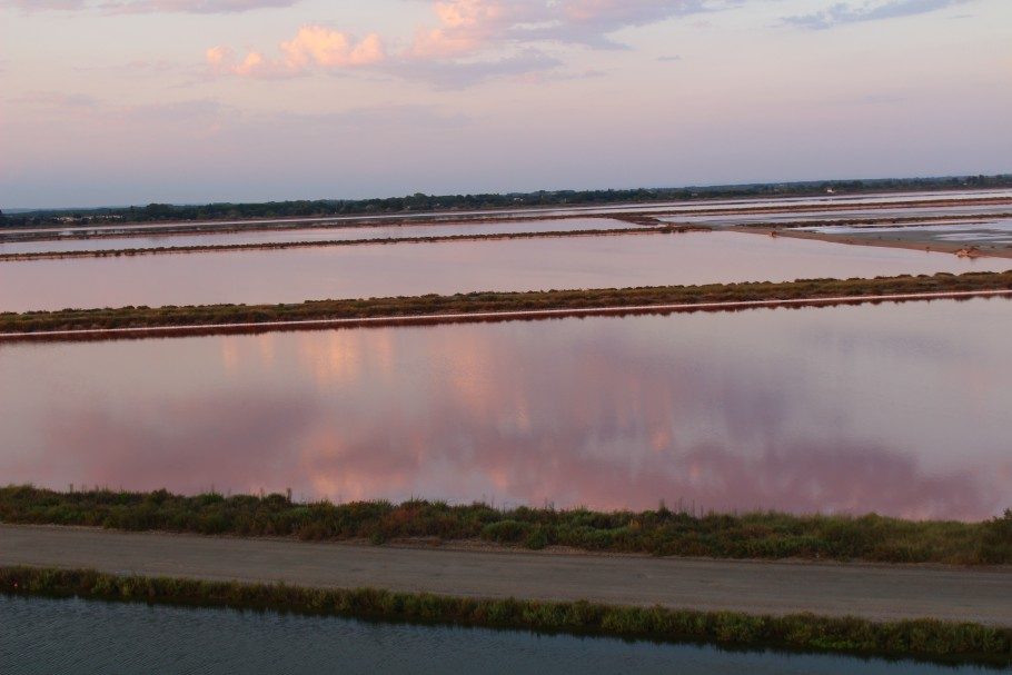 aigues-mortes-camargue