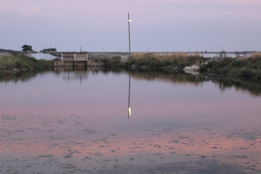 aigues-mortes-salins