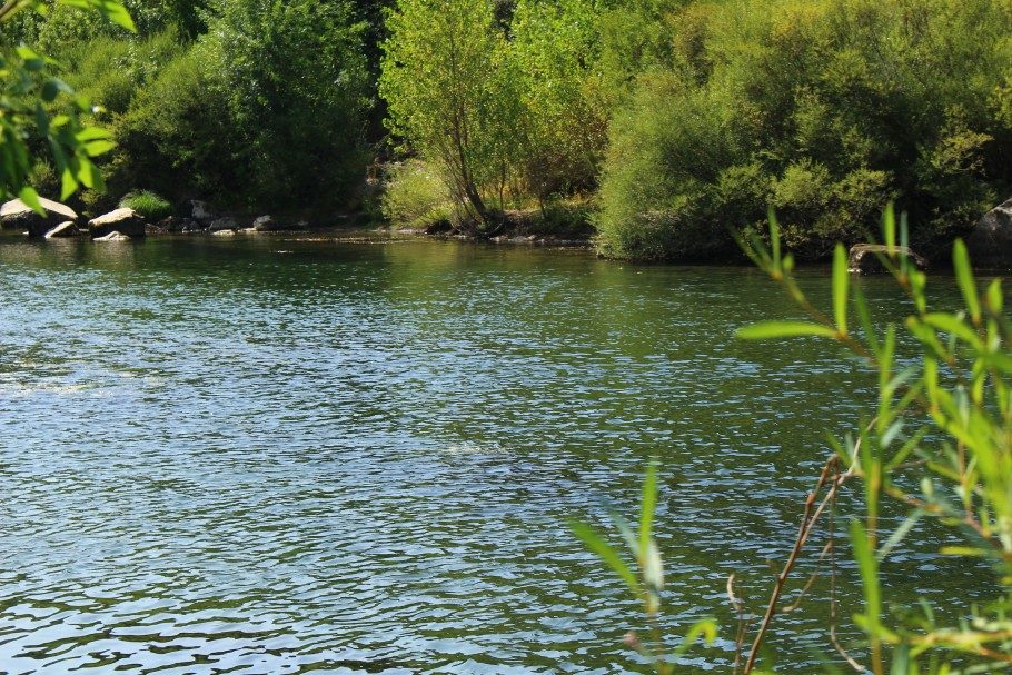 randonnée gorges de l'hérault