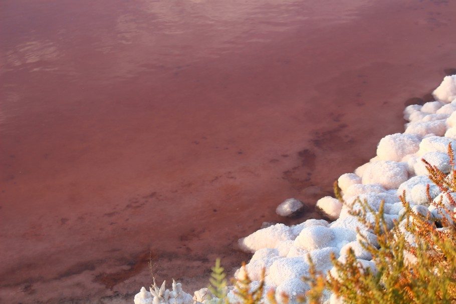 bassins-salins