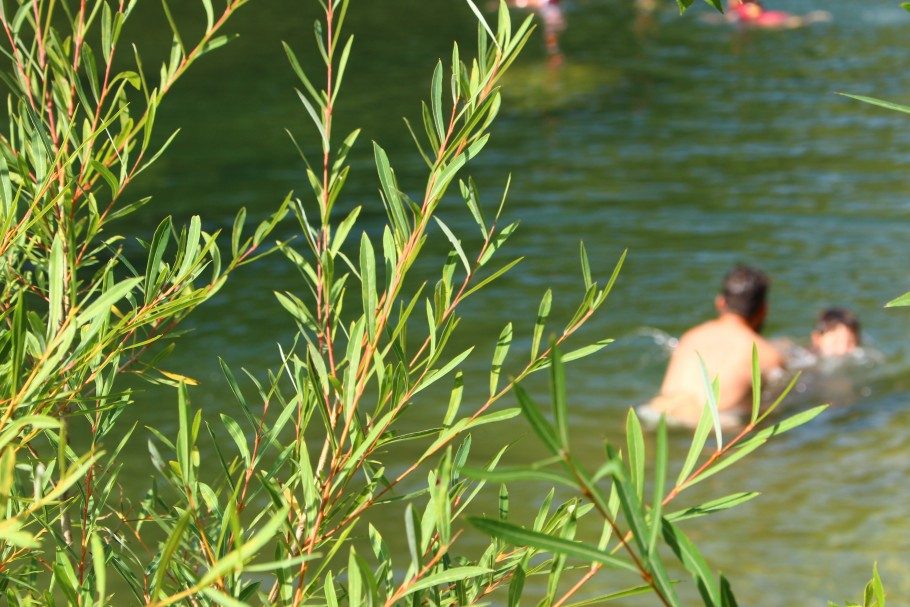 randonnée gorges de l'hérault