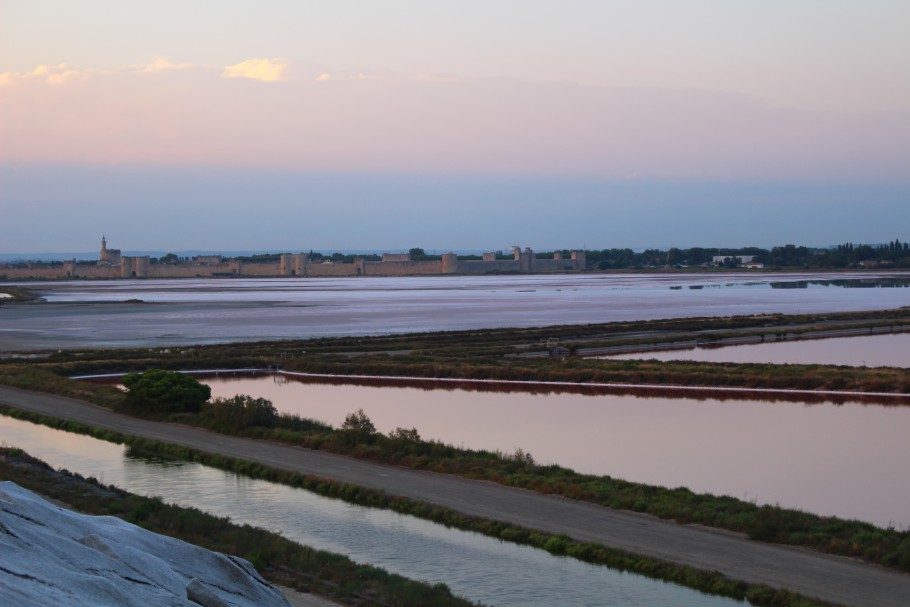 salins-aigues-mortes-algues