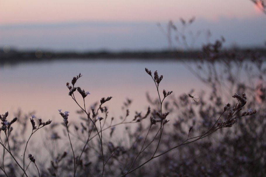 visite-salins