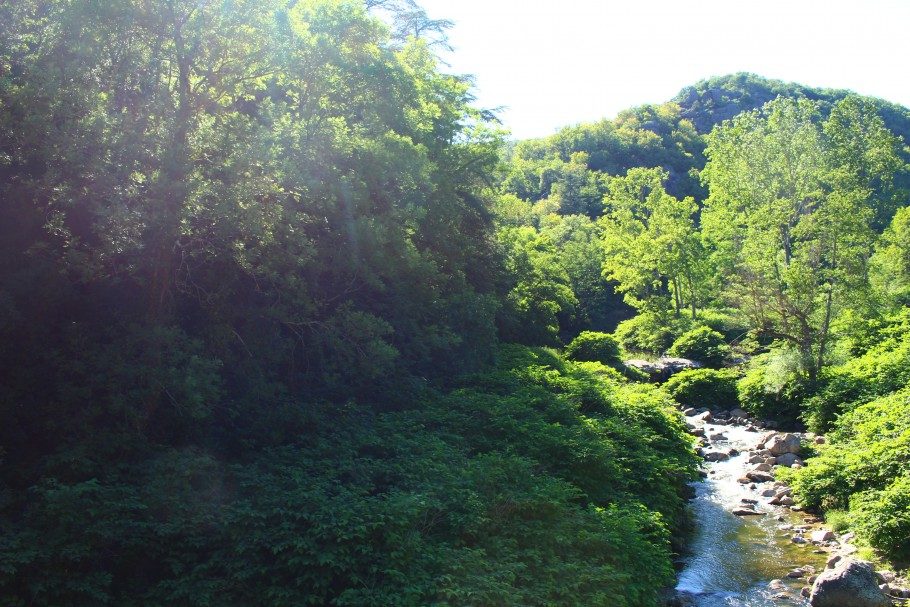 Cance ardeche