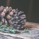j'aime pas Noël