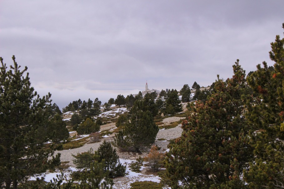 mont-ventoux-famille