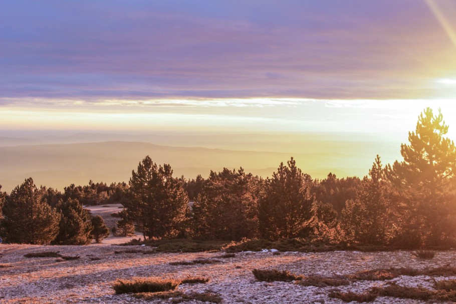 aller-mont-ventoux