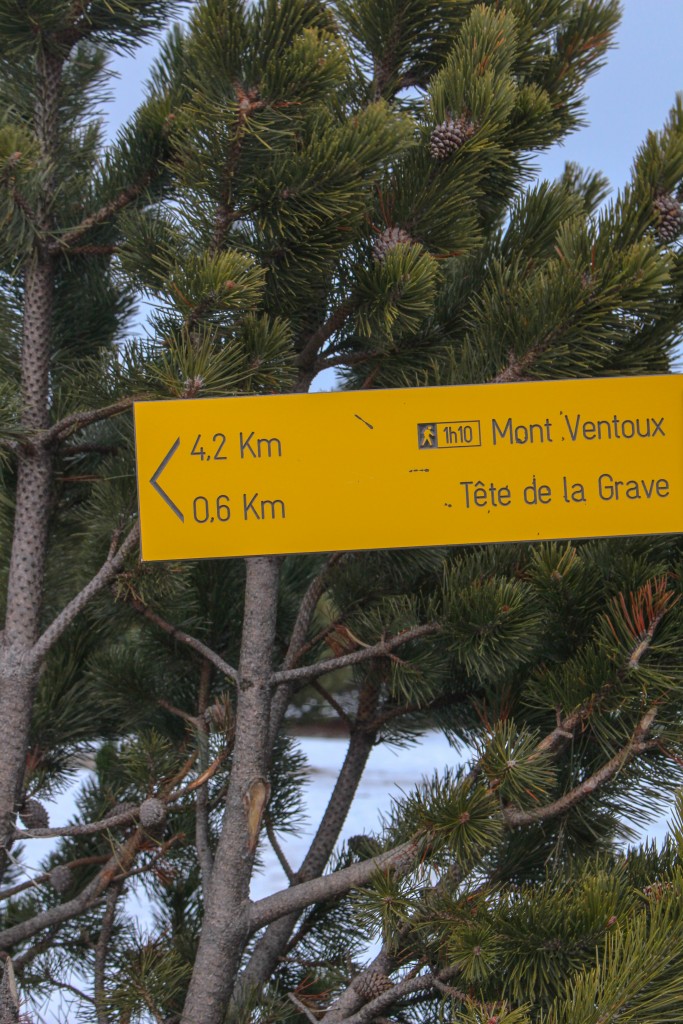 circuit-randonnée-ventoux