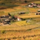 mont-brouilly-beaujolais