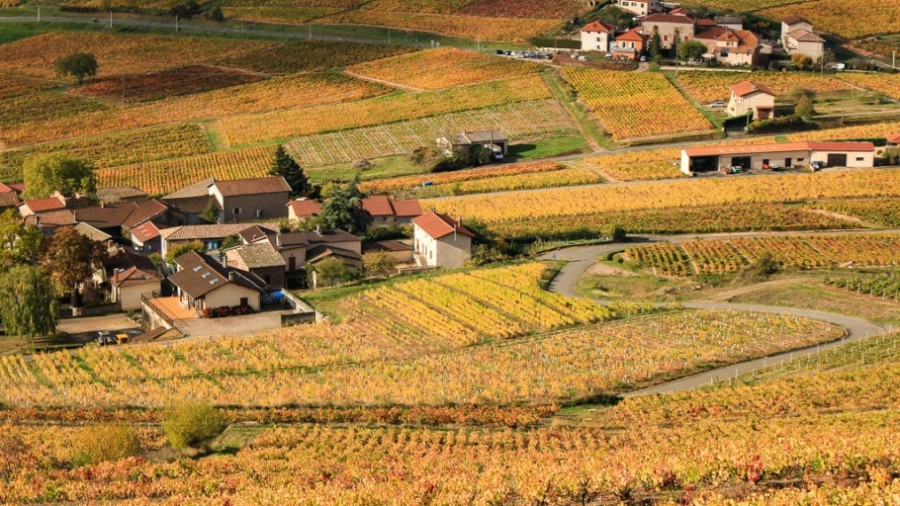 mont-brouilly-beaujolais