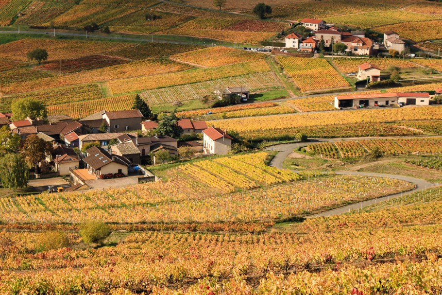 Week-end gourmand et nature dans le Beaujolais
