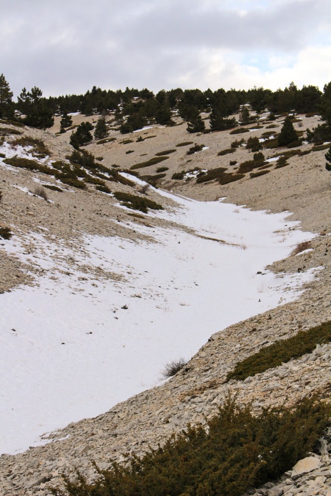 neige-ventoux