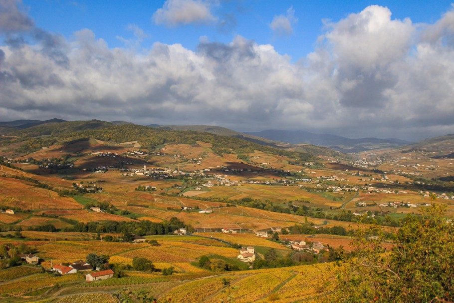 paysage-beaujolais (2)