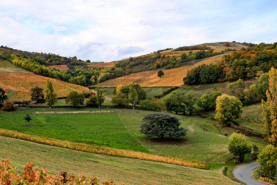 que-voir-beaujolais