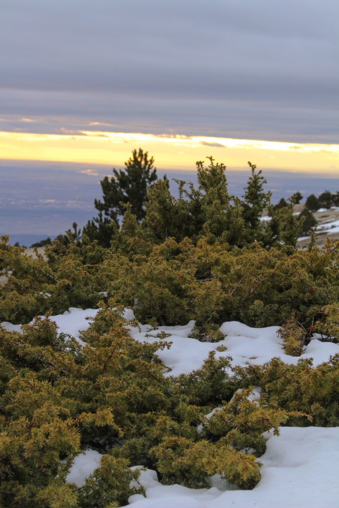 rando-famille-ventoux