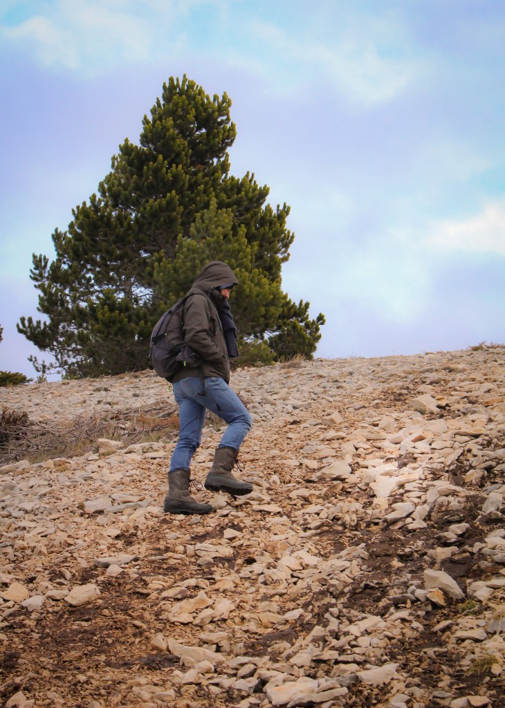 randonnees-ventoux