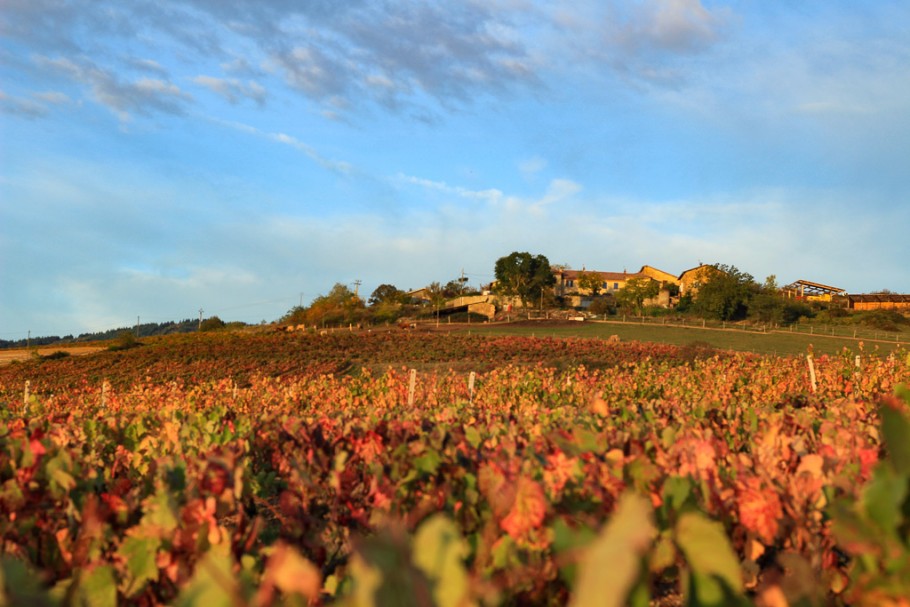 Mes bonnes adresses dans le Beaujolais