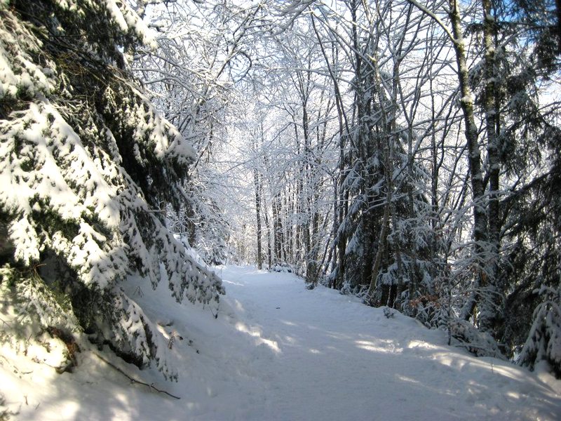 randonnée raquette Vosges