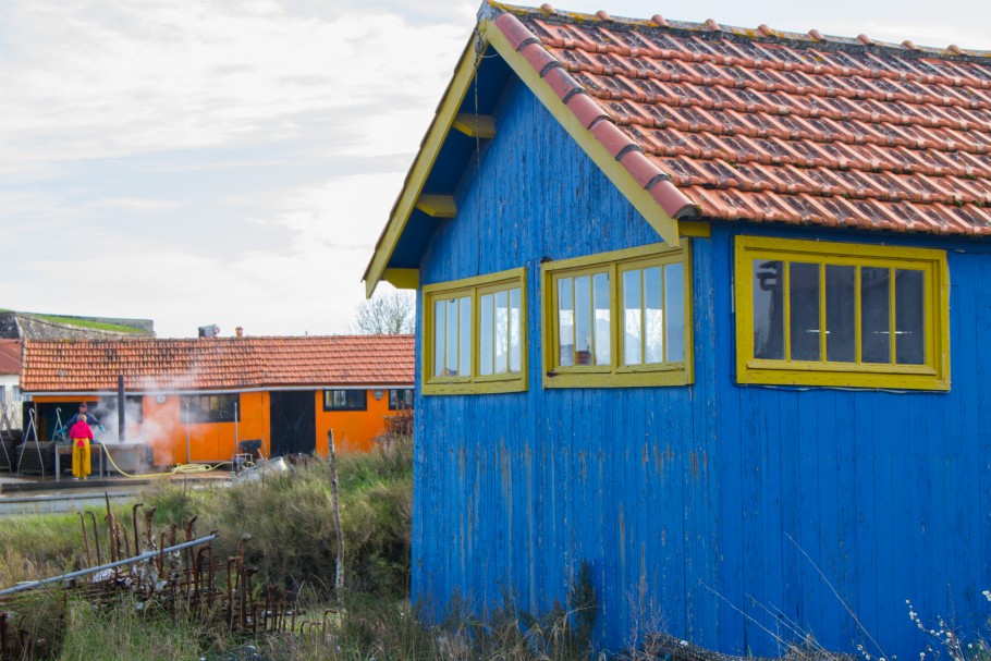 couleurs cabanes ile d'oleron