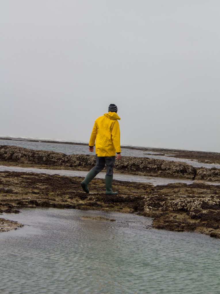 que faire sur l'ile d'oleron ?