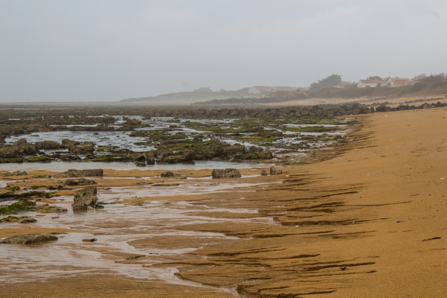 marais basse ile d'oleron