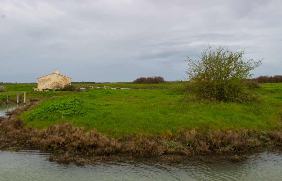 paddle marais oleron