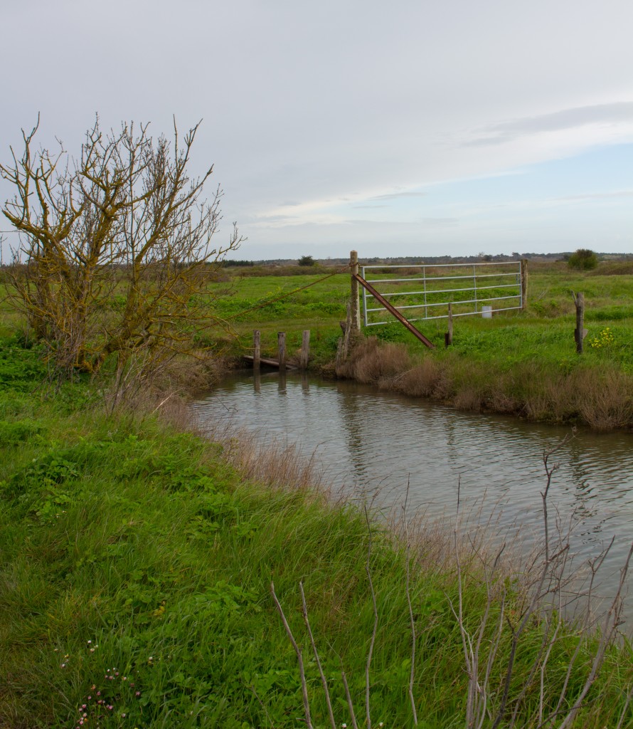 paddle marais oleron