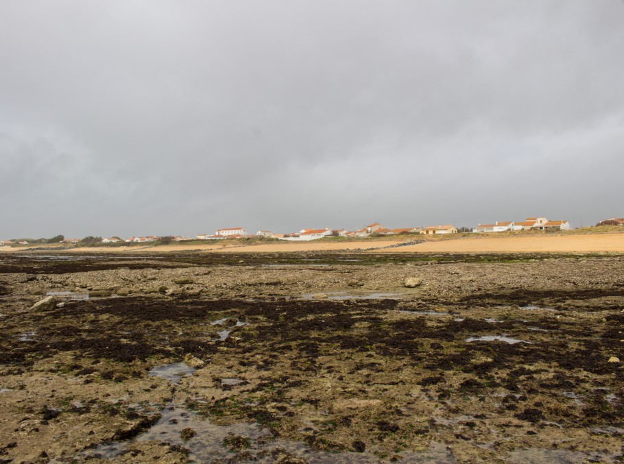 les estrans ile d'oleron