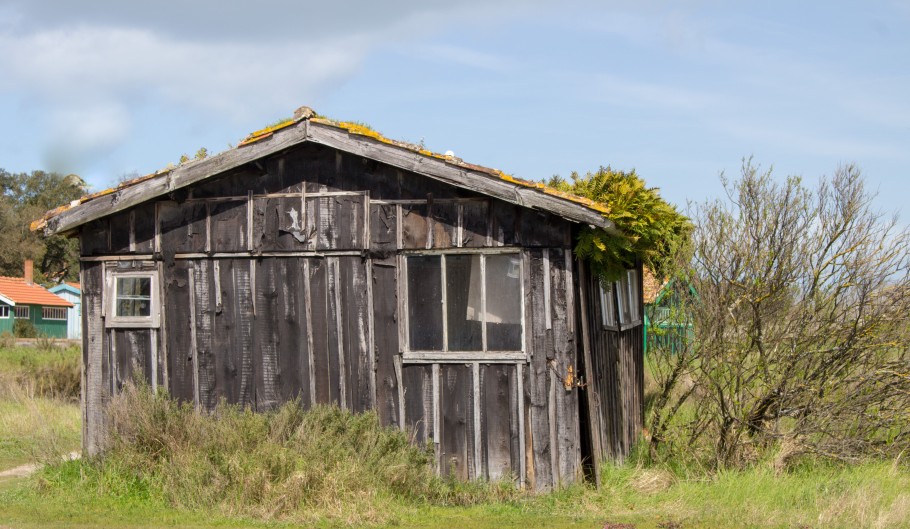 fort royer huitres