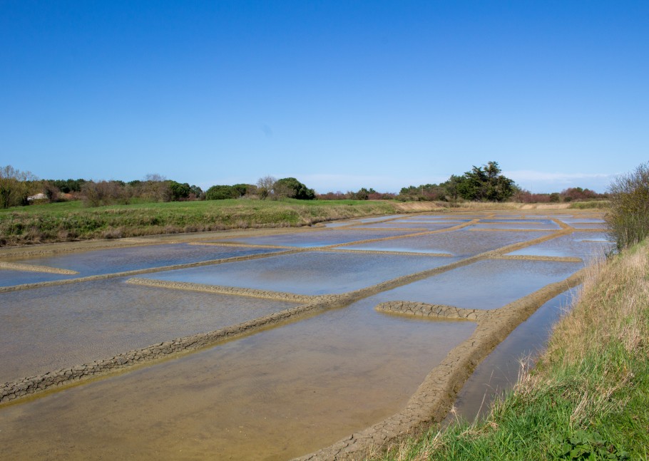 port des salines musee