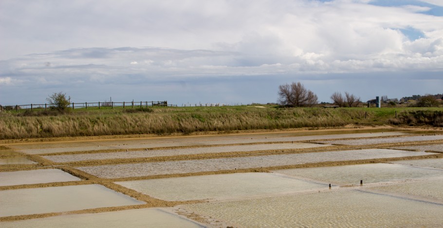 port des salines que voir