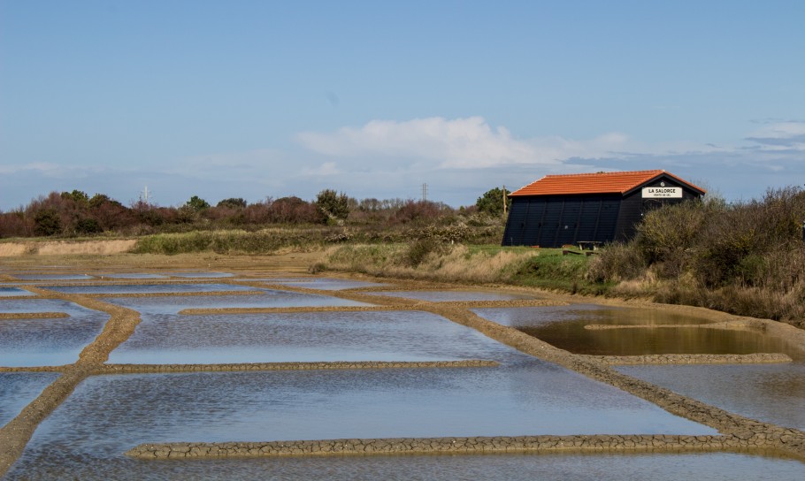 salins ile d'oleron