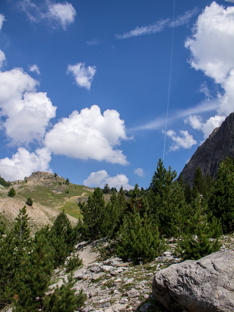 alpes montgenver paysage