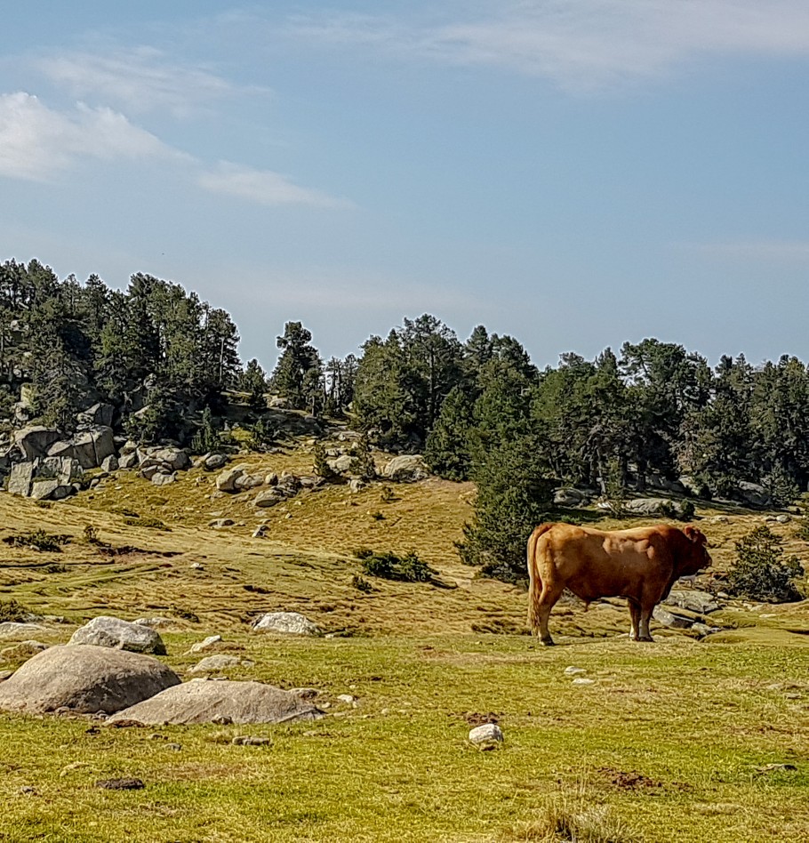 randonnée dans les pyrénées