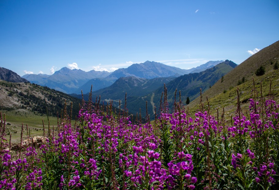 randonnée montgenevre